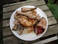 06_Kaninchen_angebraten.jpg 06_Kaninchen_angebraten.jpg