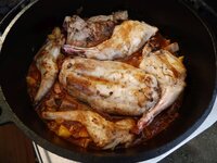 13_Bacon_und_Kaninchen_zurück_in_den_DO.jpg 13_Bacon_und_Kaninchen_zurück_in_den_DO.jpg
