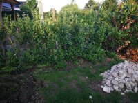 IMG_20180917_081018.JPG