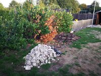 IMG_20180917_081019.JPG