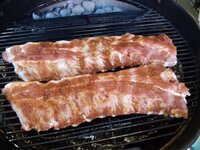 07_Ribs_in_der_Kugel.jpg 07_Ribs_in_der_Kugel.jpg