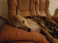 20181007_212422.jpg