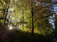20181014_103336.jpg