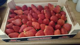 IMG-20170405-WA0009.jpg