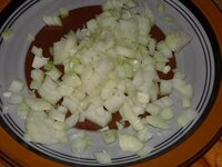 03_Zwiebeln_gewürfelt.jpg 03_Zwiebeln_gewürfelt.jpg