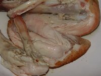 22_Anschnitt.jpg 22_Anschnitt.jpg
