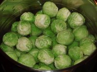 05_Rosenkohl.jpg 05_Rosenkohl.jpg