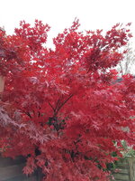 20181111_112910.jpg