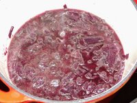 01_Rotkohl.jpg 01_Rotkohl.jpg