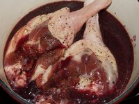 04_in_Rotkohl_gebettet.jpg 04_in_Rotkohl_gebettet.jpg
