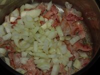 08_Zwiebel_zum_Bacon.jpg 08_Zwiebel_zum_Bacon.jpg