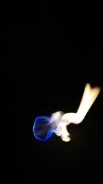 IMG_20181128_172024.JPG IMG_20181128_172024.JPG