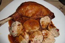 Gans (10).JPG