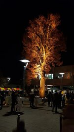 20181208_182911.jpg