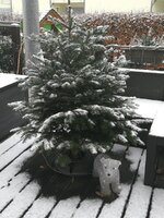 IMG_20181216_103234_1.jpg