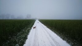 IMG_20181216_162837.jpg