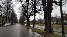 20181224_085608.jpg