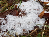 20181230_120425.jpg 20181230_120425.jpg