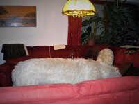 CIMG0011 (2).JPG