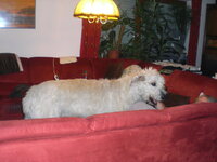 CIMG0013.JPG