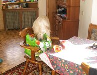 CIMG0016 (2).JPG