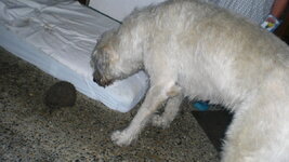 CIMG0007.JPG