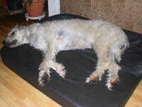 CIMG0024.JPG