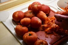 DSC_1012.jpg