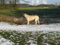 CIMG0009.JPG