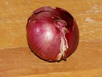 02_Zwiebel.jpg 02_Zwiebel.jpg