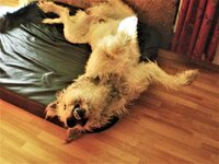 CIMG0004 (2).JPG