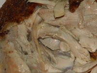 10_Anschnitt.jpg 10_Anschnitt.jpg