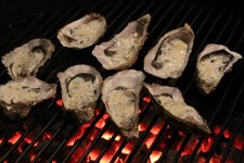 11-austern-auf-grill-jpg.jpg 11-austern-auf-grill-jpg.jpg