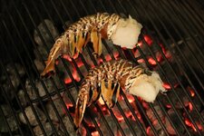 14-langusten-grill-jpg.jpg 14-langusten-grill-jpg.jpg
