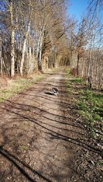 IMG_20190224_112039.jpg