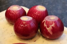 3-zwiebel-jpg.jpg 3-zwiebel-jpg.jpg