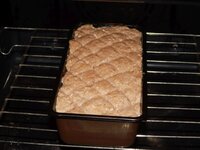 07_Form_im_Backofen.jpg 07_Form_im_Backofen.jpg