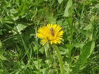 20190330_123058.jpg 20190330_123058.jpg