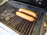 03_Wurst_im_GA.jpg 03_Wurst_im_GA.jpg