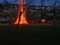 IMG_20190421_211117.jpg