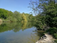 IMG_20190424_151151.jpg