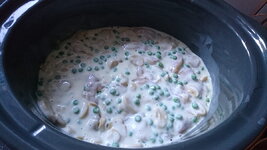 IMG-20190427-WA0005.jpg IMG-20190427-WA0005.jpg