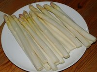 01_Spargel.jpg 01_Spargel.jpg