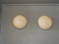 02_Teigballen_geformt.jpg 02_Teigballen_geformt.jpg