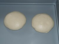 05_Teigballen_aufgegangen.jpg 05_Teigballen_aufgegangen.jpg