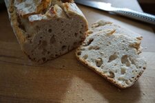 10_Anschnitt_Brot.jpg 10_Anschnitt_Brot.jpg