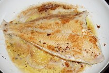 05_Scholle_2_gewendet.jpg
