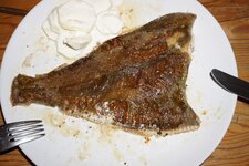 07_Scholle_gewendet.jpg 07_Scholle_gewendet.jpg