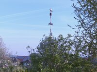 Storch 1 10.05.2017.jpg