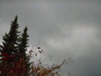 DSCN6629.JPG DSCN6629.JPG